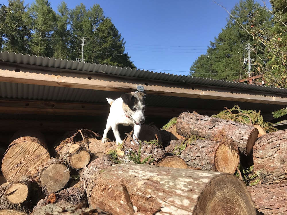 白馬岩岳 ロッジ岳友荘 松本・軽井沢