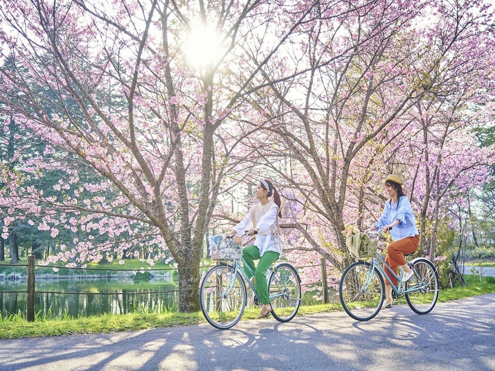 軽井沢プリンスホテル イースト 松本・軽井沢