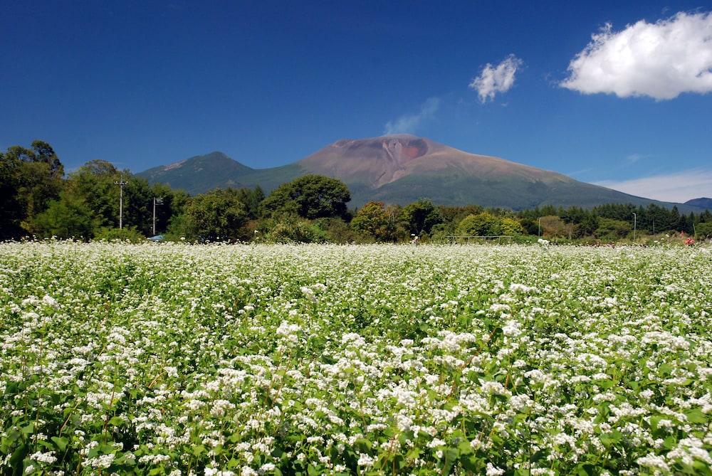 軽井沢マリオットホテル 松本・軽井沢