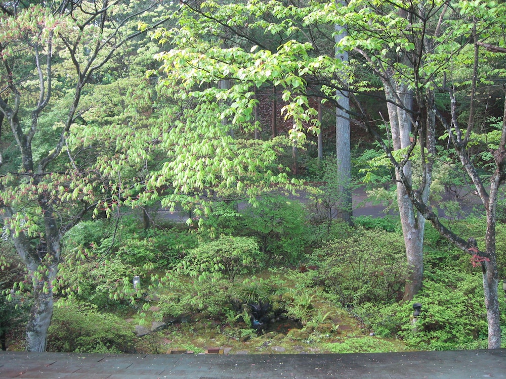 軽井沢ノームの森 松本・軽井沢