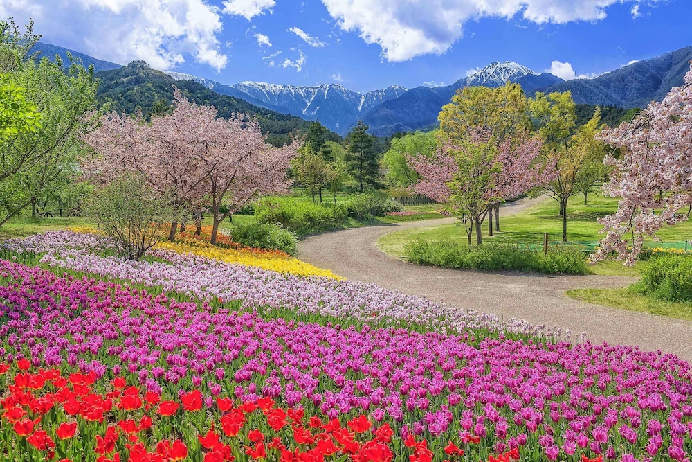 ホテルトレンド松本 松本・軽井沢
