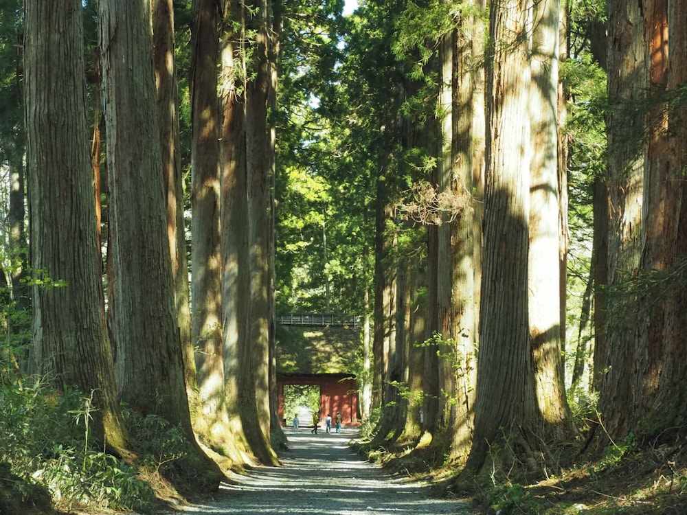 東横 INN 長野駅善光寺口 松本・軽井沢