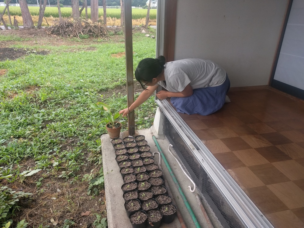 田舎の家 ともの小屋 松本・軽井沢