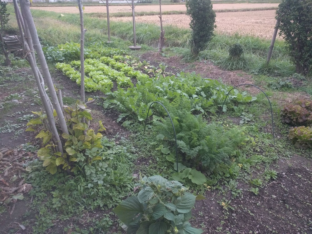 田舎の家 ともの小屋 松本・軽井沢