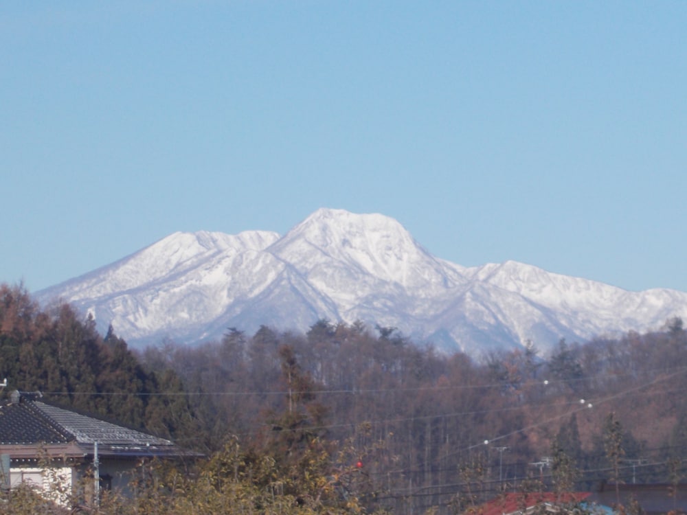 ゲストハウス穂波街道 松本・軽井沢