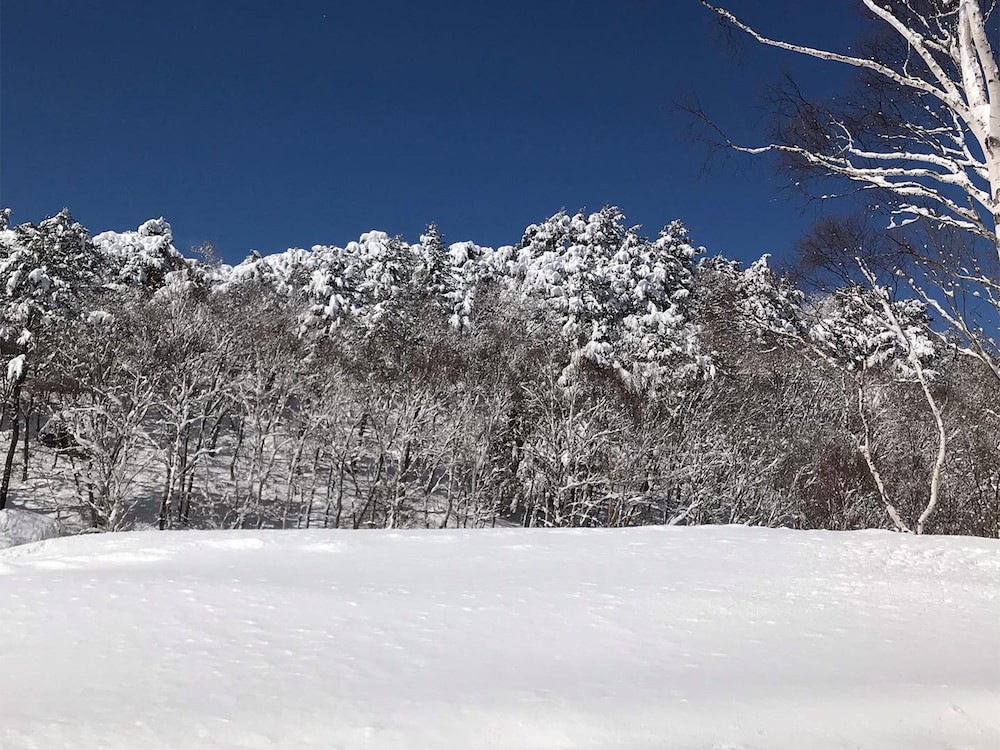 ホテル アストリア 松本・軽井沢
