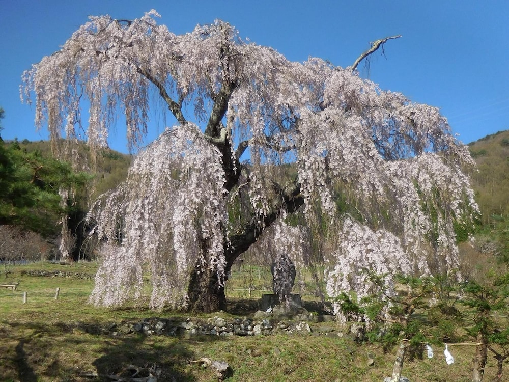志賀パークホテル 松本・軽井沢