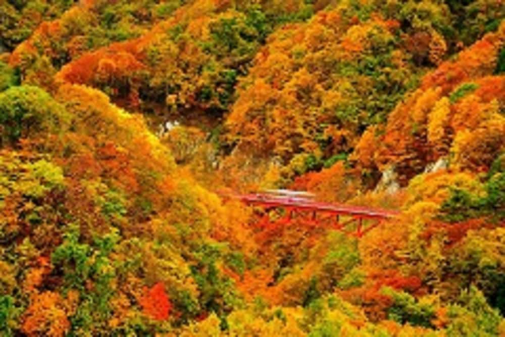 ホテル豊生 松本・軽井沢
