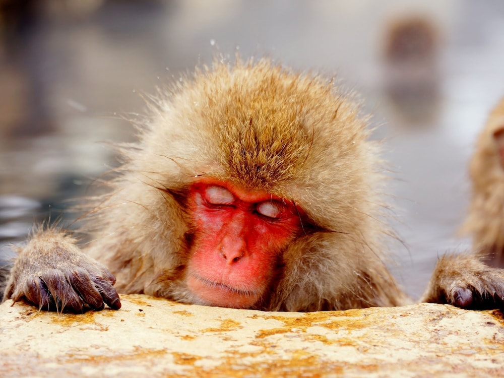 木戸池温泉ホテル 松本・軽井沢