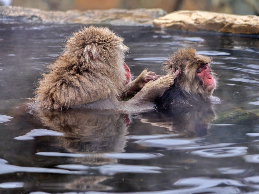 木戸池温泉ホテル 松本・軽井沢