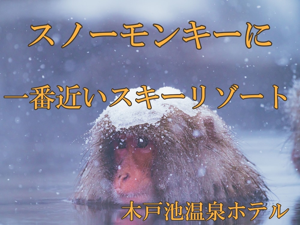 木戸池温泉ホテル 松本・軽井沢