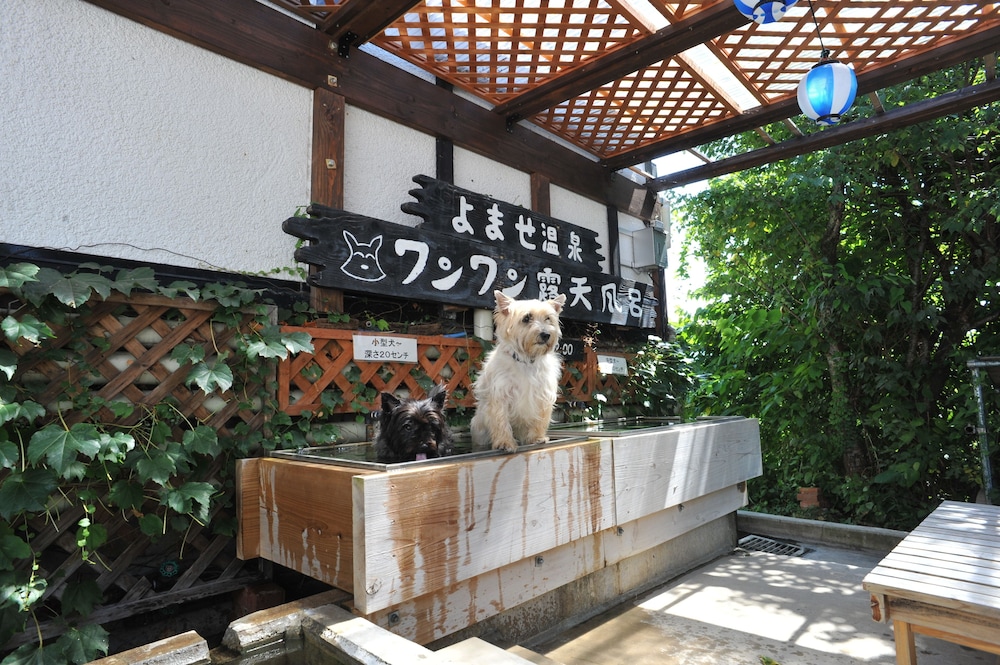 プチホテル パディントン ハウス 松本・軽井沢