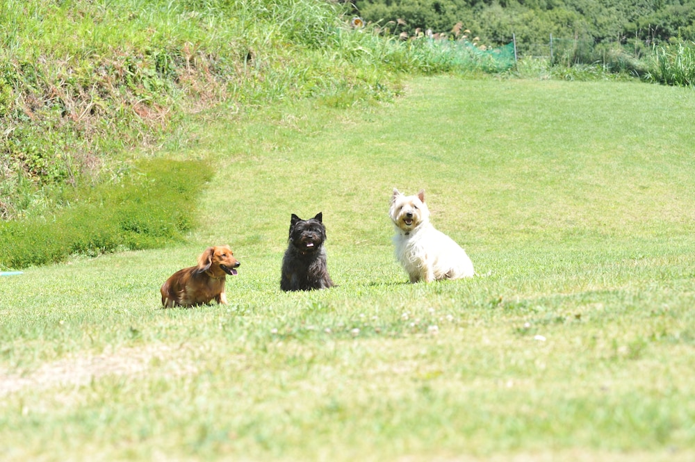 プチホテル パディントン ハウス 松本・軽井沢