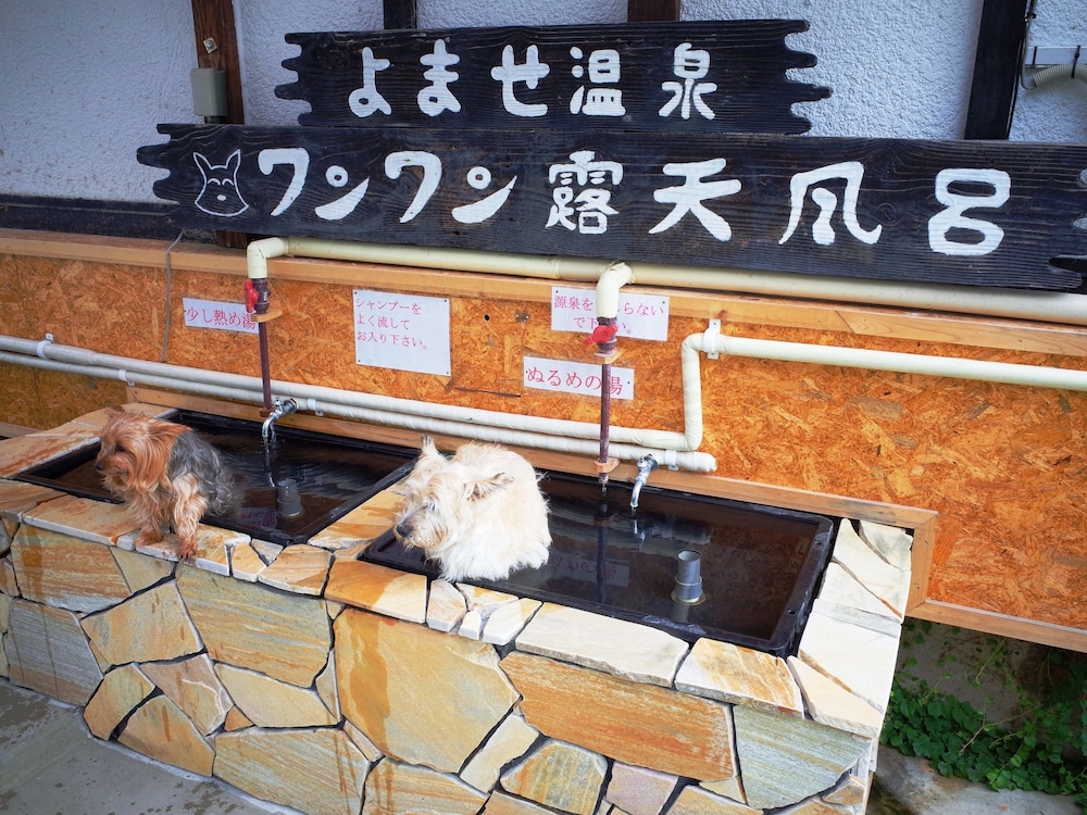 プチホテル パディントン ハウス 松本・軽井沢