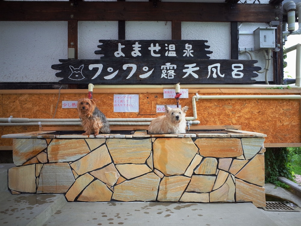 プチホテル パディントン ハウス 松本・軽井沢