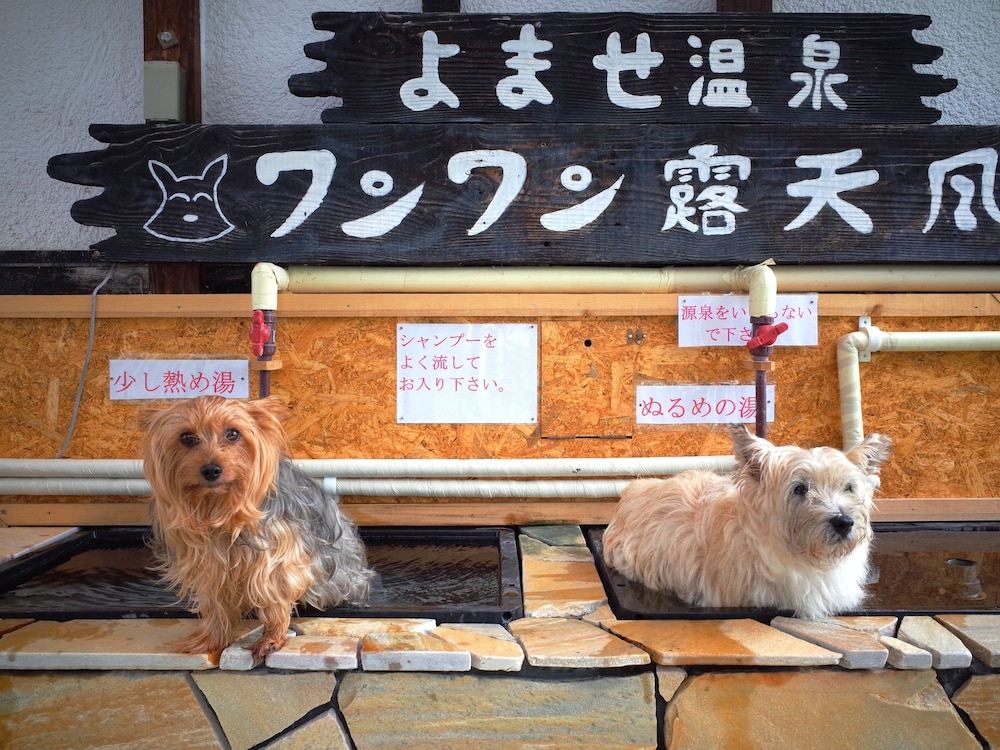 プチホテル パディントン ハウス 松本・軽井沢