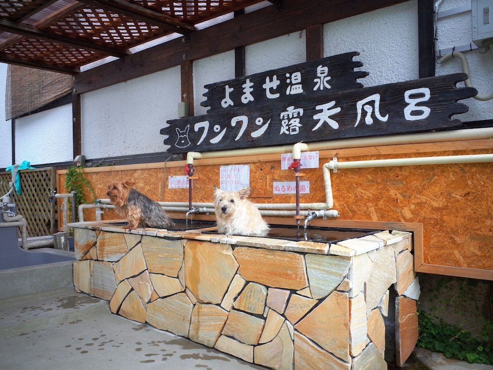 プチホテル パディントン ハウス 松本・軽井沢