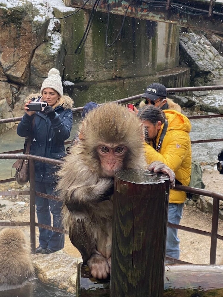 志賀の湯ホテル 松本・軽井沢