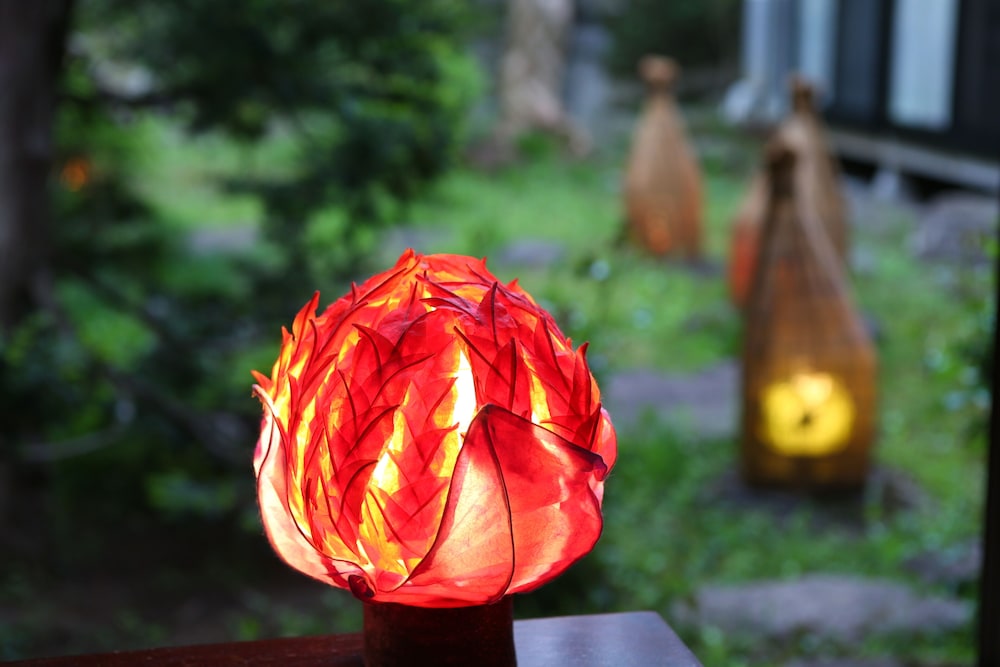 華灯りの宿 加命の湯 松本・軽井沢