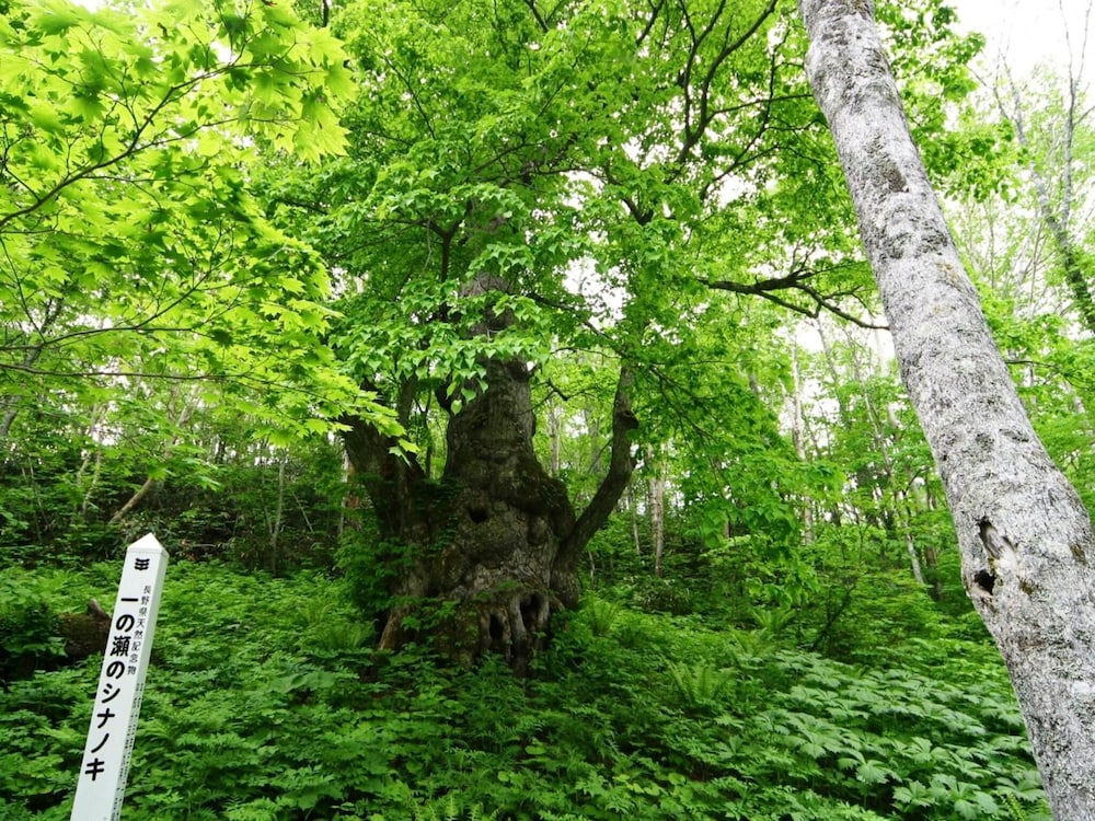 志賀グランドホテル 松本・軽井沢