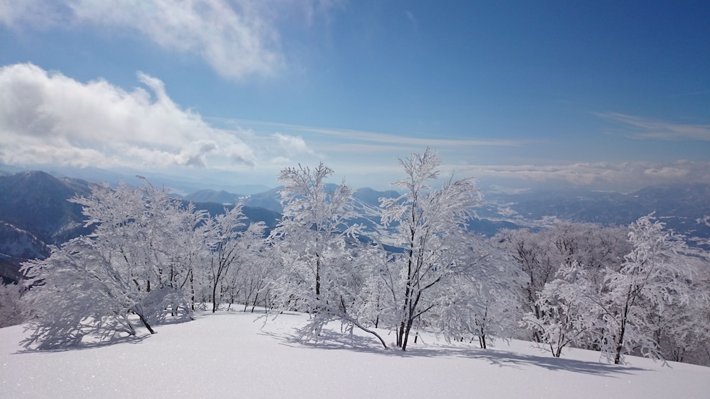 NOZAWA DREAM 松本・軽井沢