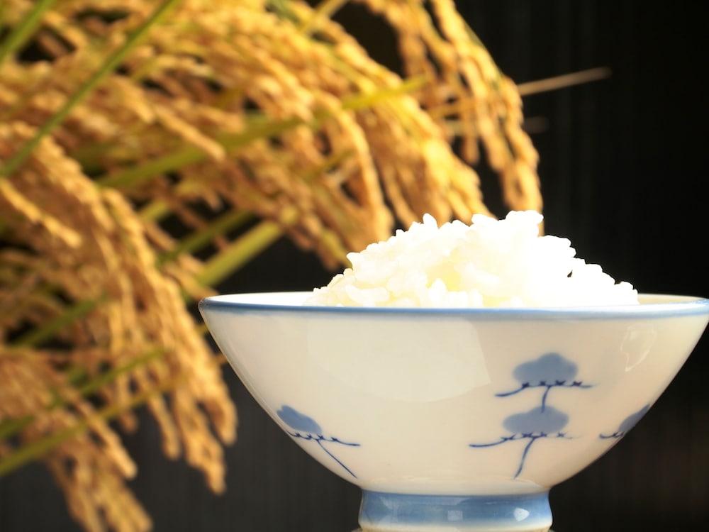 サンライズ 明治屋 松本・軽井沢
