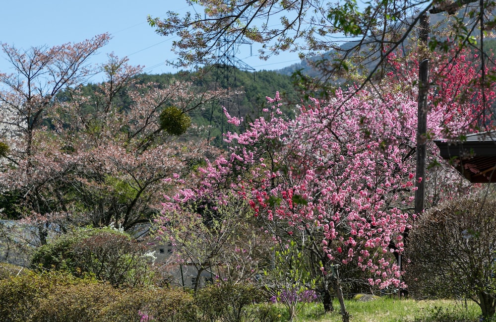 森のホテル 松本・軽井沢