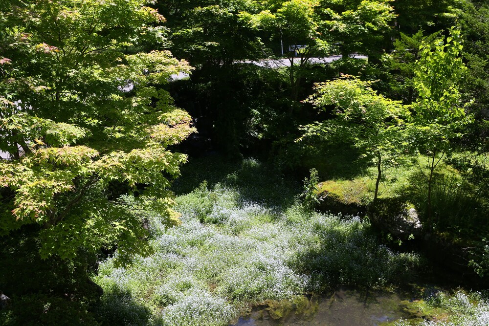 木曽古道 ぬくもりの宿 駒の湯 松本・軽井沢