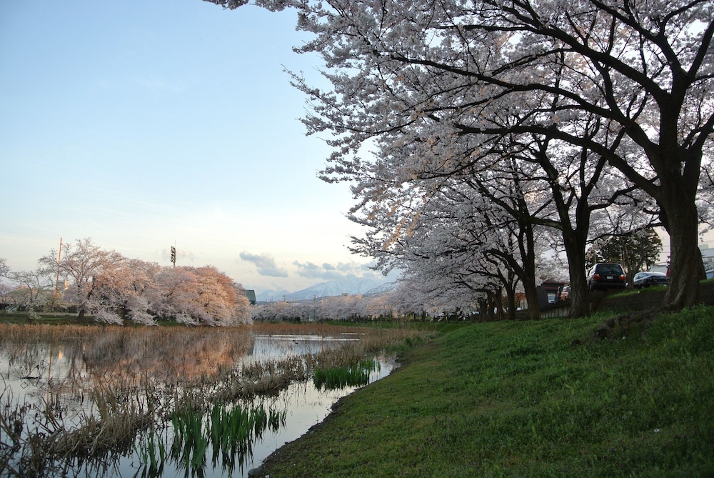 ホワイトツリーロッジ 松本・軽井沢