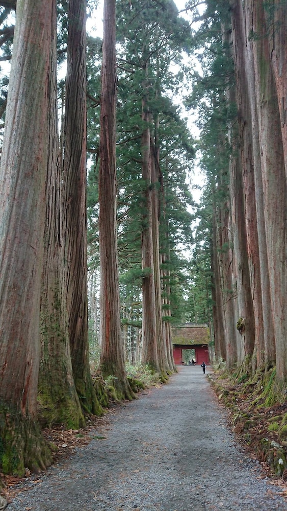 森のログホテル　カムループス 松本・軽井沢