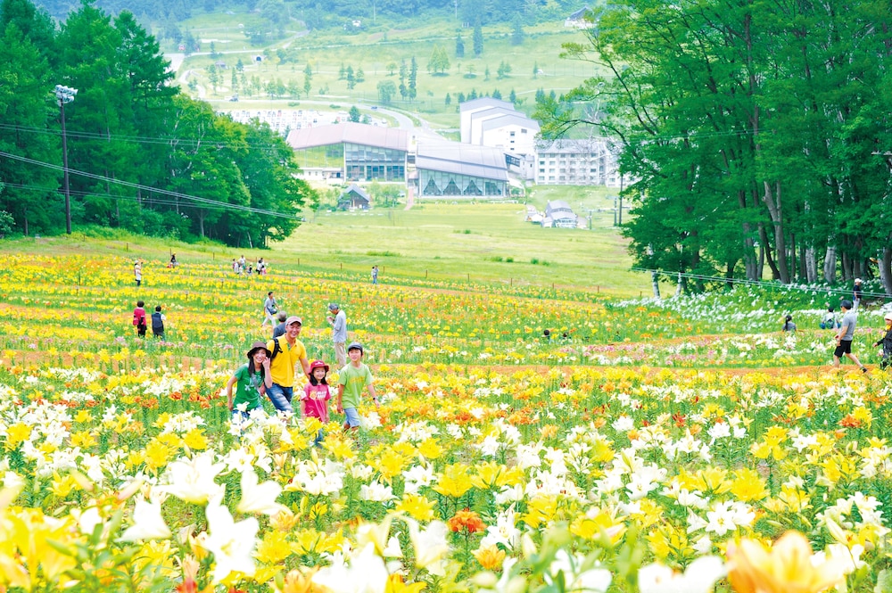 ホテルハーヴェスト 斑尾 松本・軽井沢