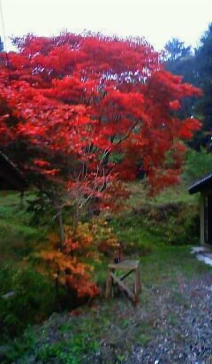 杏庵 － にしだ 松本・軽井沢