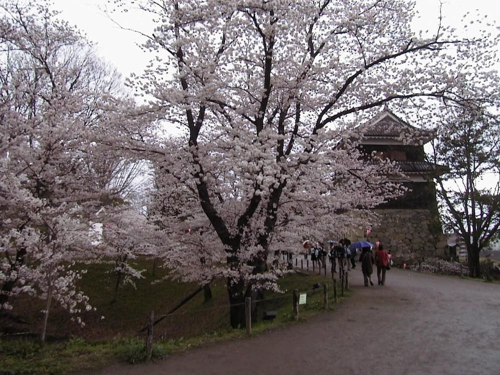 望山亭 ことぶき 松本・軽井沢