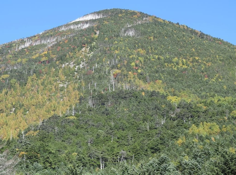 四季の宿すばる 松本・軽井沢