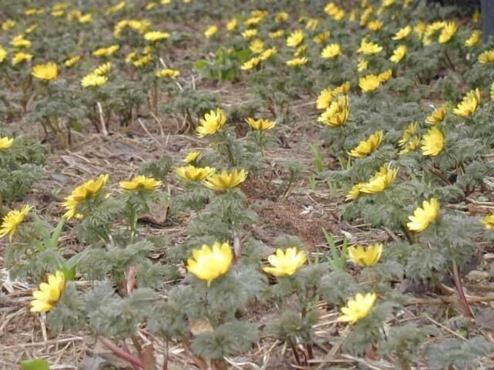 源泉かけ流し天然温泉 白馬 シンフォニー 松本・軽井沢