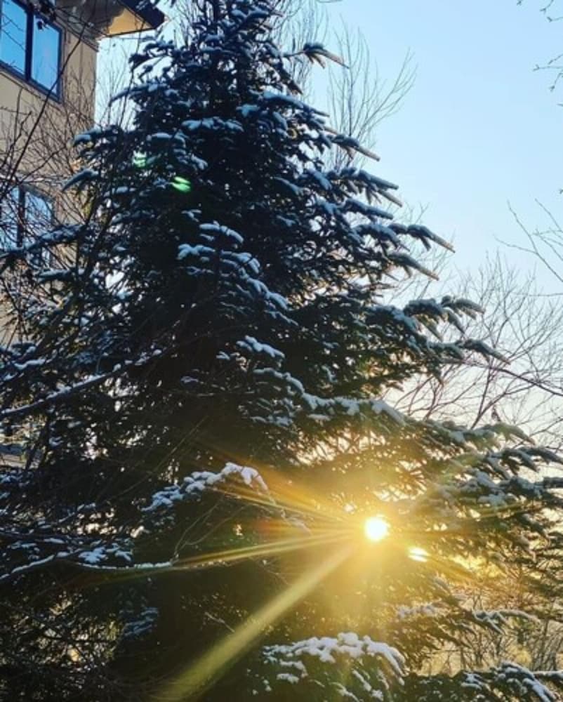 WADANO FOREST APARTMENTS 松本・軽井沢