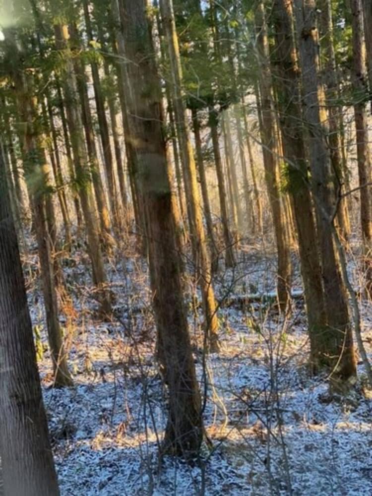 WADANO FOREST APARTMENTS 松本・軽井沢