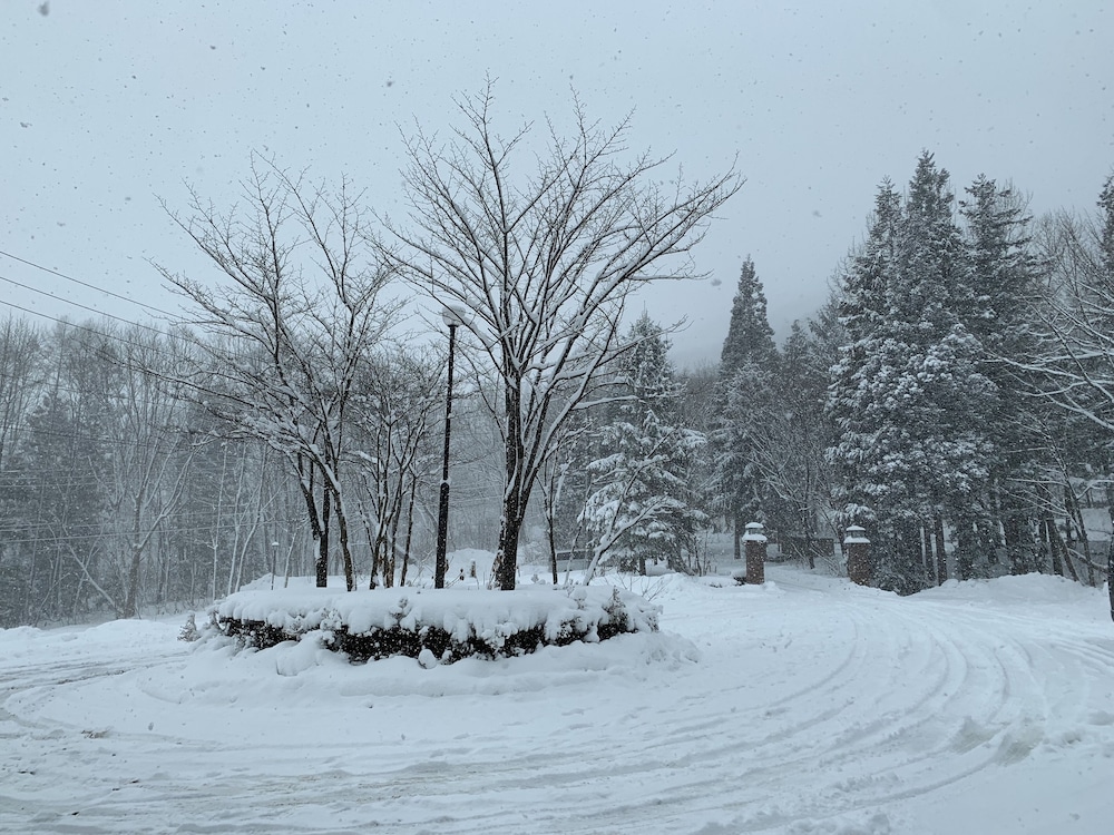 WADANO FOREST APARTMENTS 松本・軽井沢