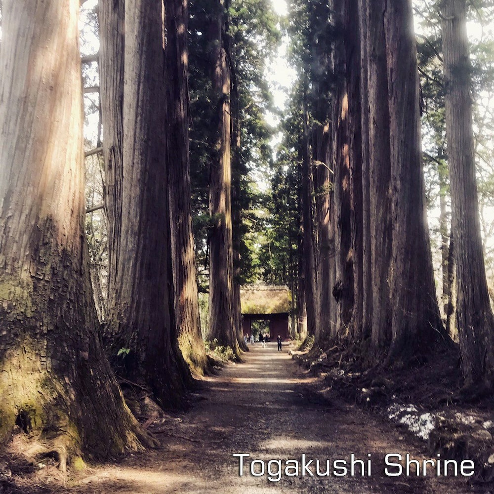 ホテル椿野 松本・軽井沢