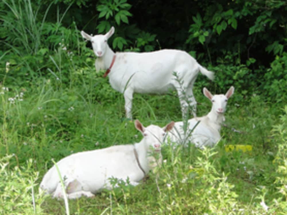 ペンション AURA 松本・軽井沢