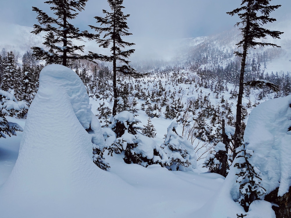 ホテルアプリコット 松本・軽井沢
