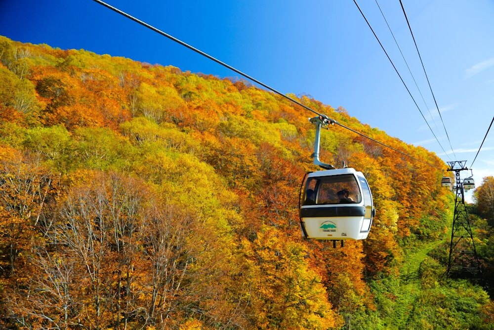 リゾートイン マリオンシナノ 松本・軽井沢