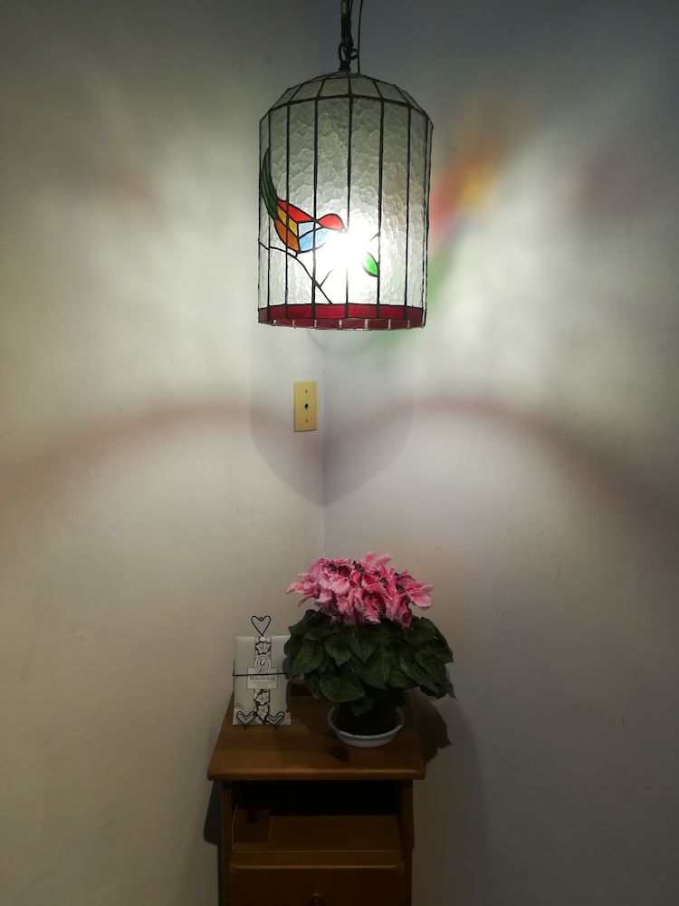 斑尾高原 フジオ ペンション 松本・軽井沢