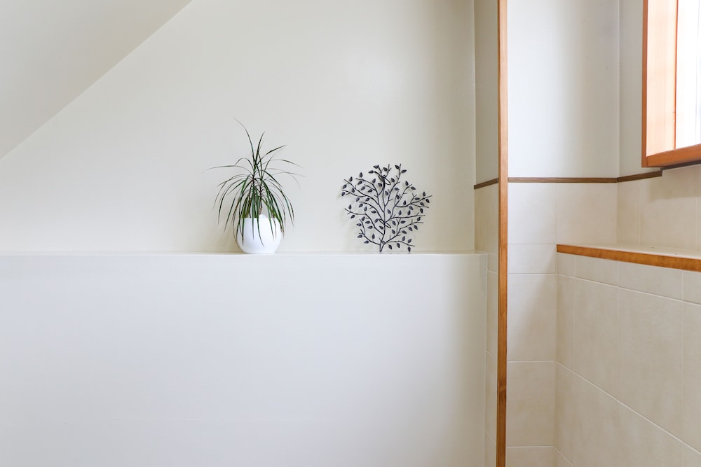 ホテル 白樺 荘 志賀 高原 松本・軽井沢