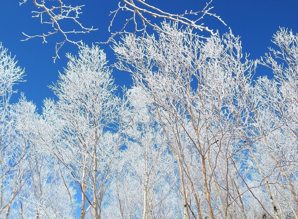 ホテル 白樺 荘 志賀 高原 松本・軽井沢