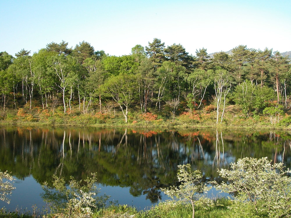 ホテル 白樺 荘 志賀 高原 松本・軽井沢