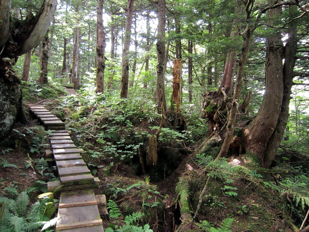 ホテル 白樺 荘 志賀 高原 松本・軽井沢