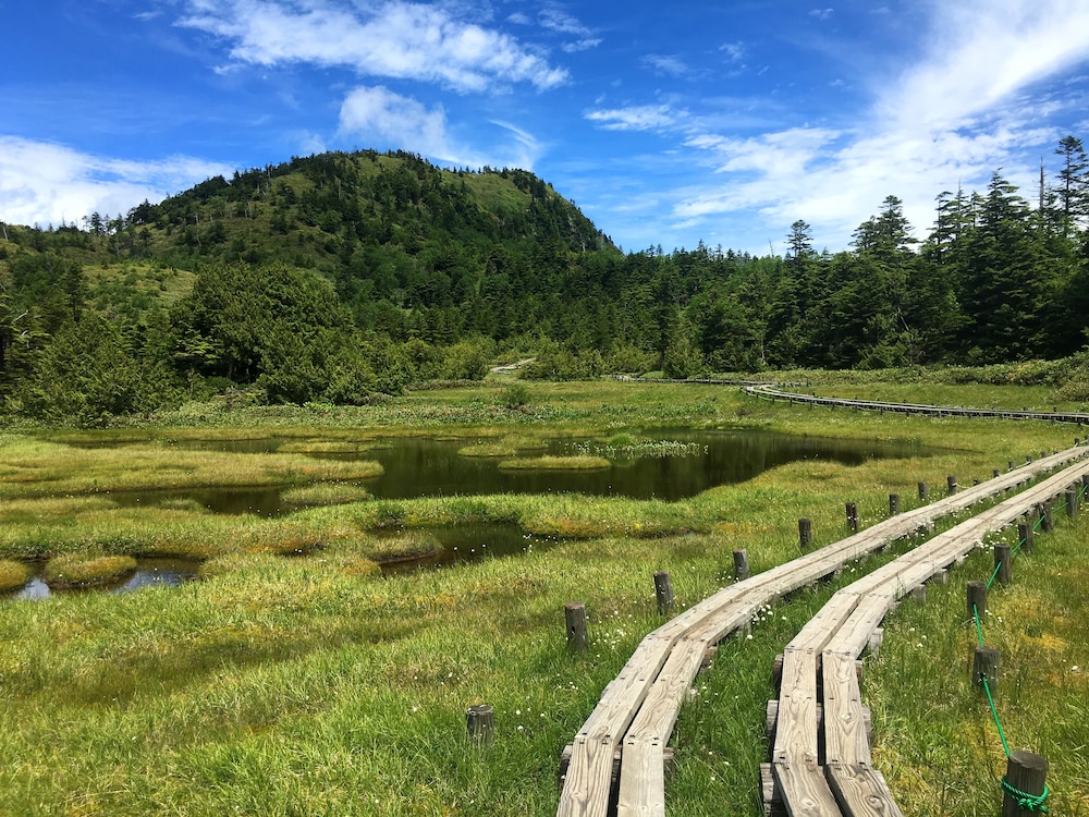 ホテル 白樺 荘 志賀 高原 松本・軽井沢