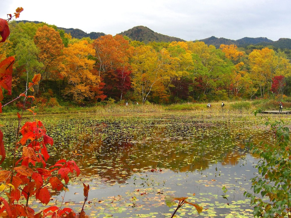 ホテル 白樺 荘 志賀 高原 松本・軽井沢