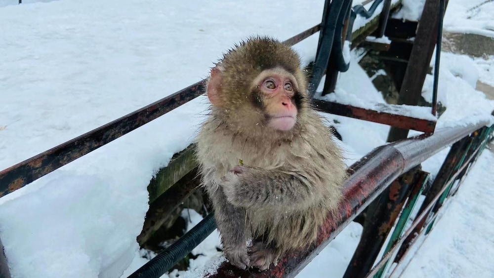楽奇温泉旅館 松本・軽井沢